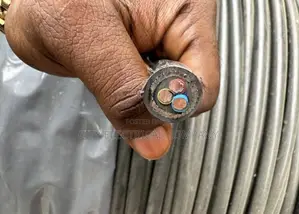 3x6mm Coleman Electric Armoured Cable