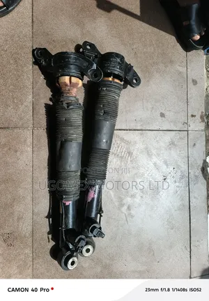 Back Shock Absorber Evoque 2020
