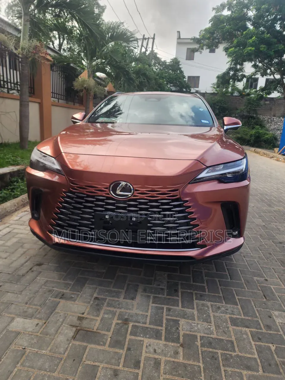 Lexus RX 350 Premium Plus 2024 Brown