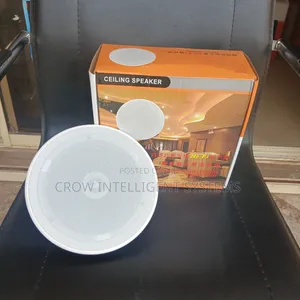 Hifi Ceiling Speaker