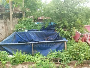 Fish Pond Used