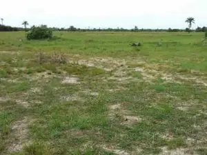500sqm Dry Land In An Estate