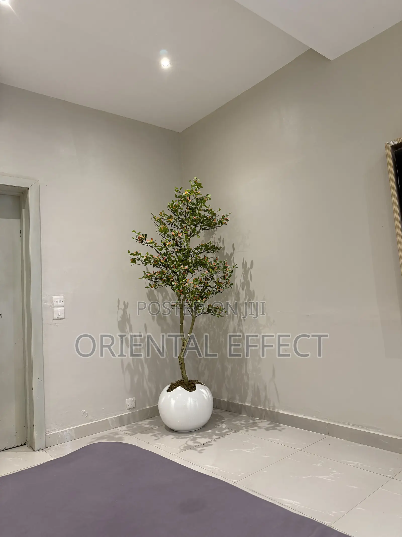 White Wobble Pot Styled With Artificial Osman Tree | Artificial Plant