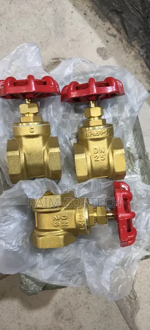 Brass Threaded Gate Valve