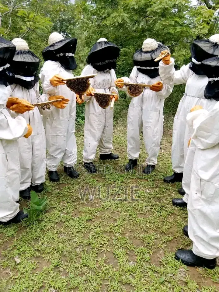 Original Bee Honey