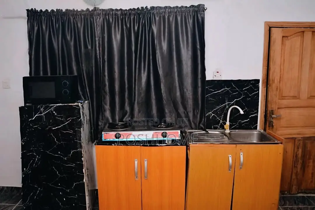 Spacious Studio Apartment