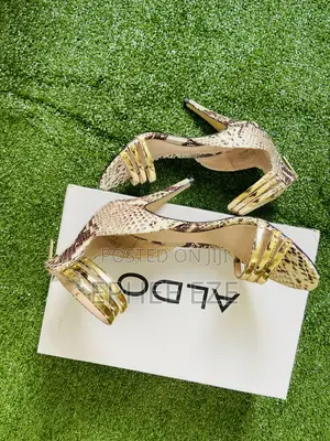 Quality Designer Shoe
