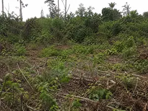 50x112 561.243sqm