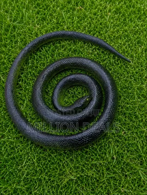 Silicon Prank Halloween Fake Snake Toy