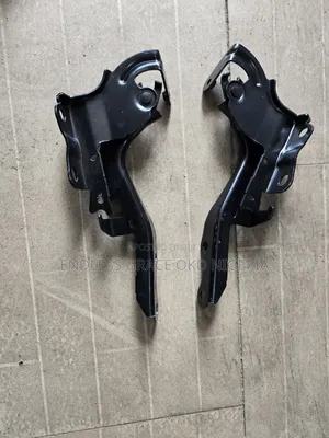 Bonnet Hinges Rx350 2018/2020 Available