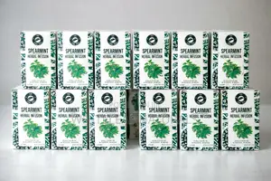 Spearmint Tea (1 Carton) - 24 PCS