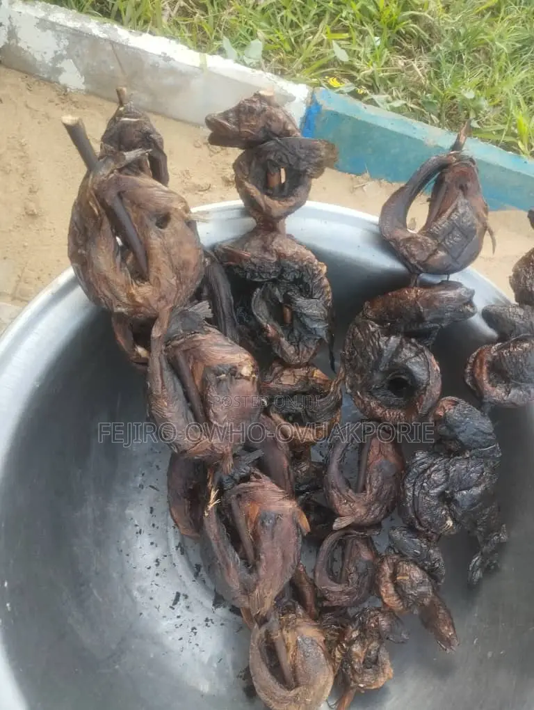 Dried Fish