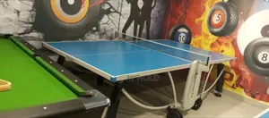 Big Leg Table Tennis