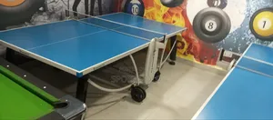 Small Leg Table Tennis