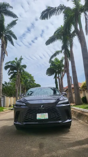 Lexus RX 350 Premium Plus AWD 2024 Gray