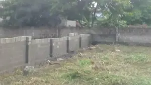 2 Plots of Land Measuring 10004sqm, Ogba Ikeja Lagos