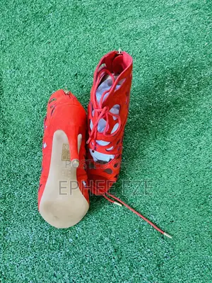 Quality Ladies Shoe