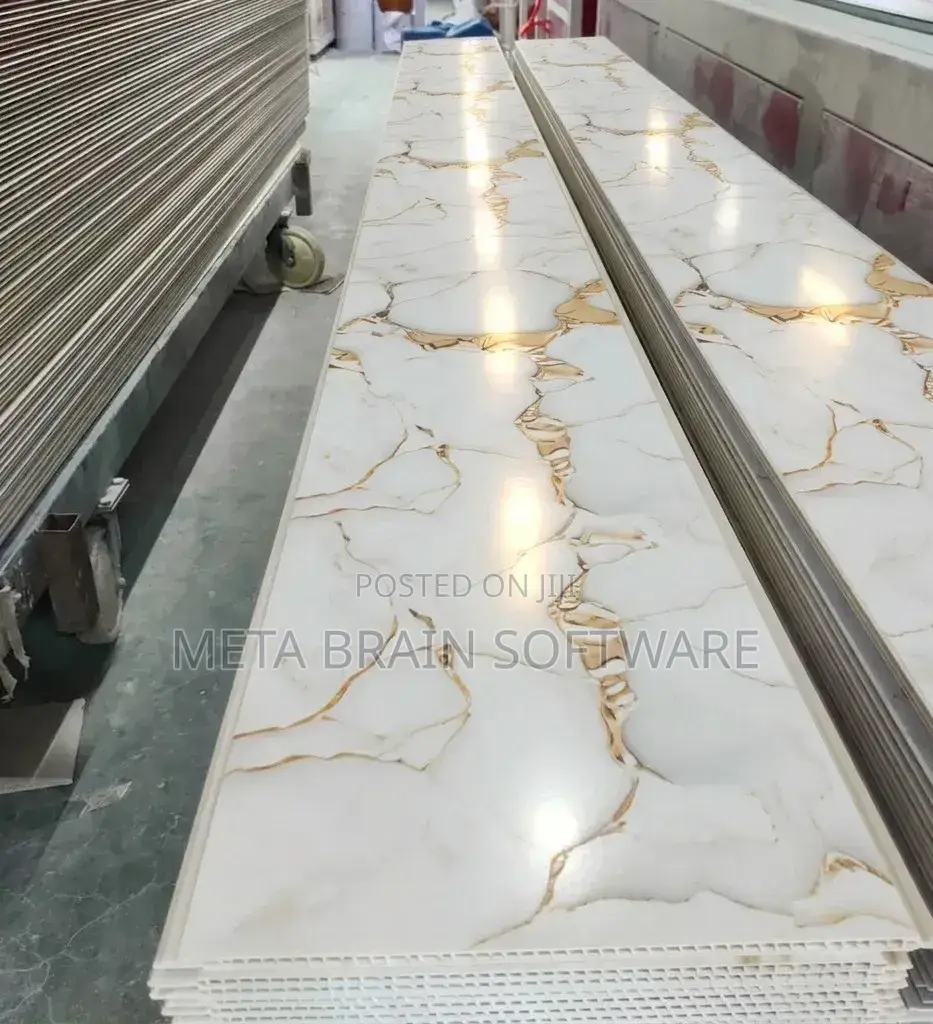 PVC Celling Design