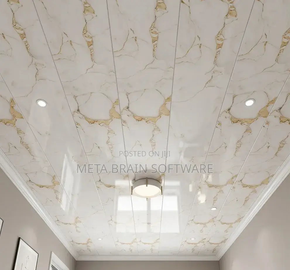 PVC Celling Design