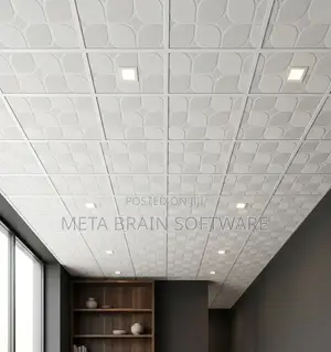 Suspended Ceiling