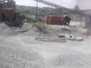 China Oriental Mining