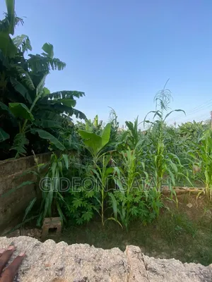 Land for Sale at Nwaniba by Water Fountain, Uyo