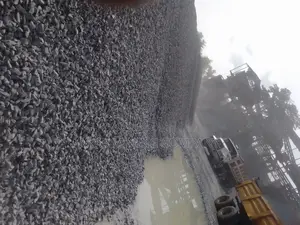 Crush Rocks