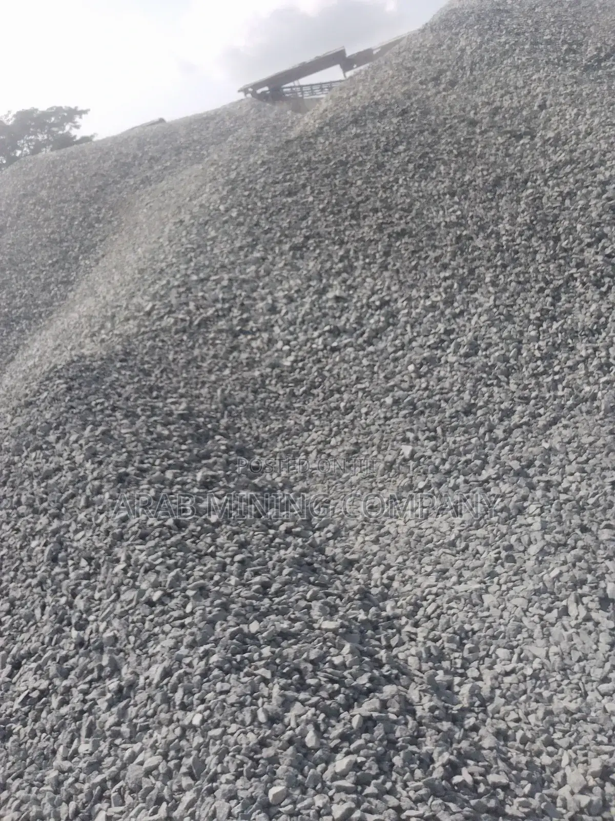 Black Bear Sure Stone