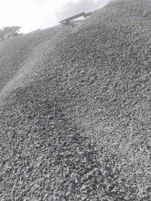 Black Bear Sure Stone