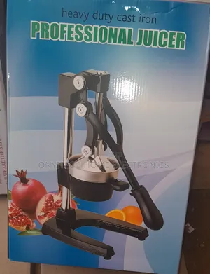 Professional Juicer