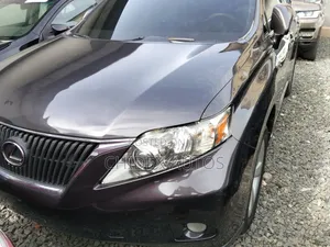 Lexus RX 2010 Gray