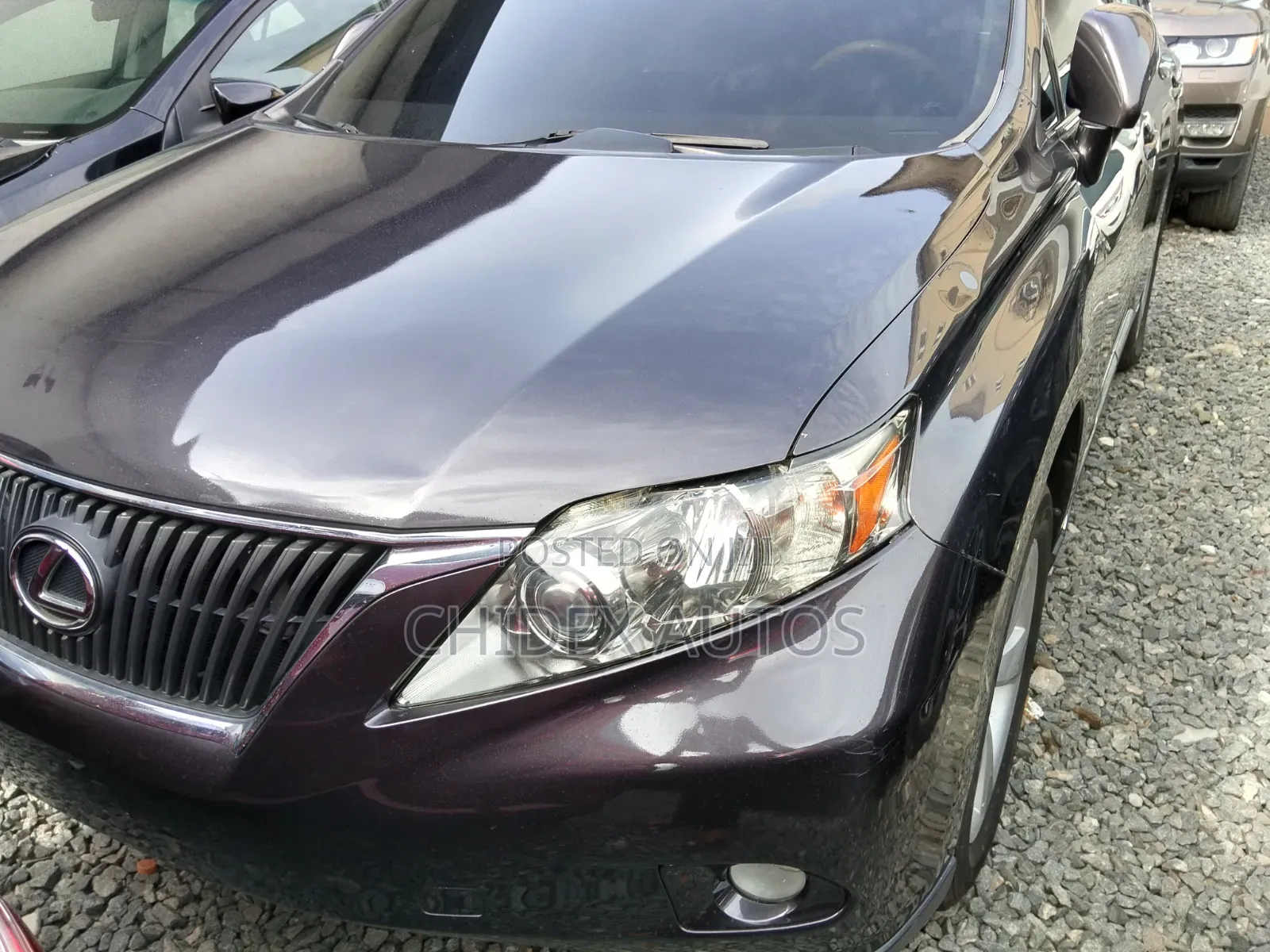 Lexus RX 2010 Gray