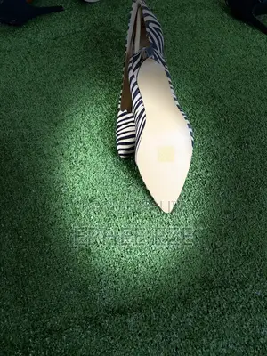 Ladies Shoes
