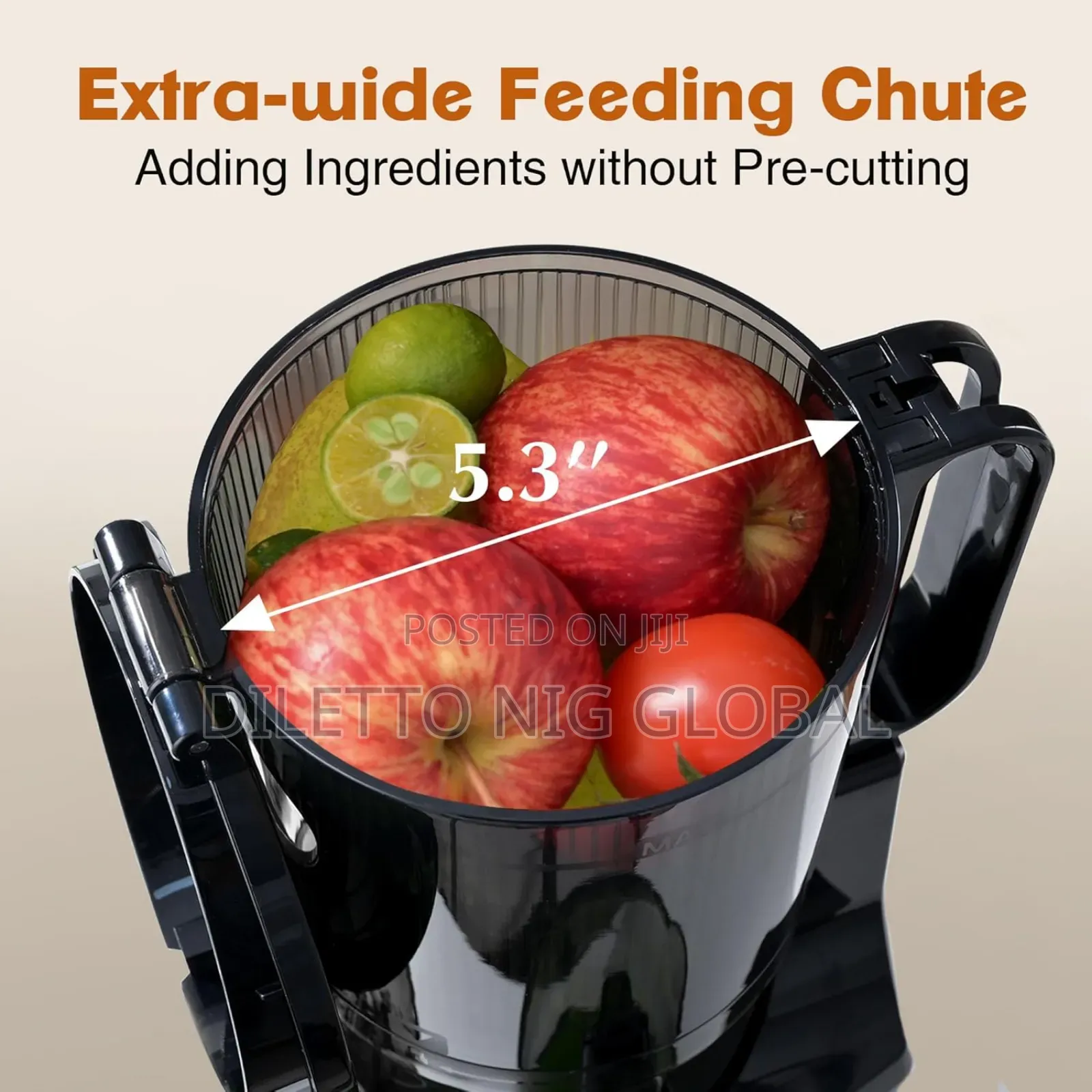 Fretta Cold Press Juicer Machines, Slow Masticating Juicer