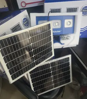 Wakatek Flood Light