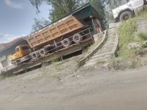 Stone Dust