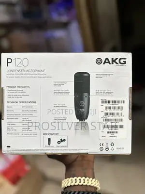 Akg P120 Condenser Microphone
