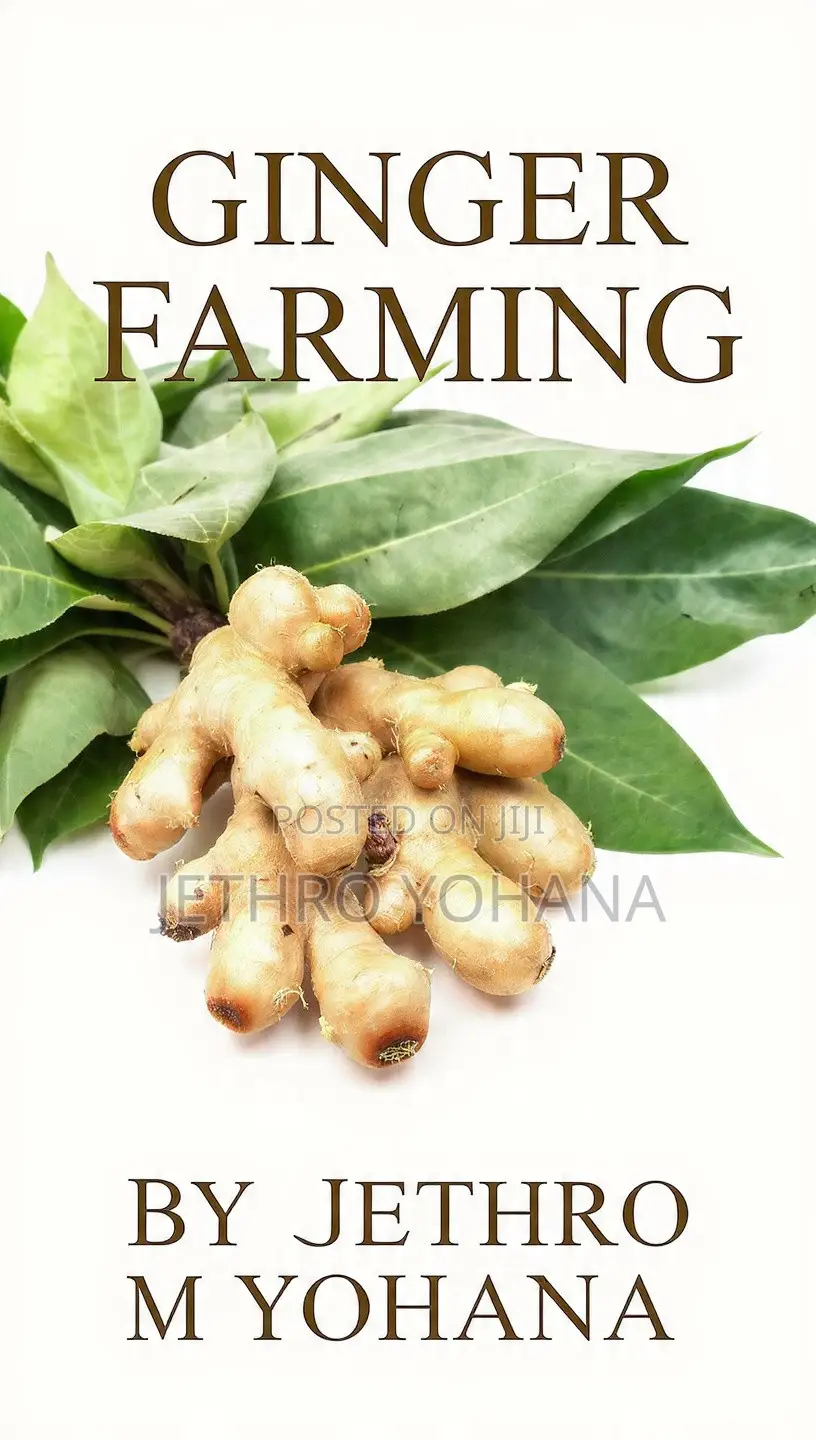 Masterclass on Ginger Farming