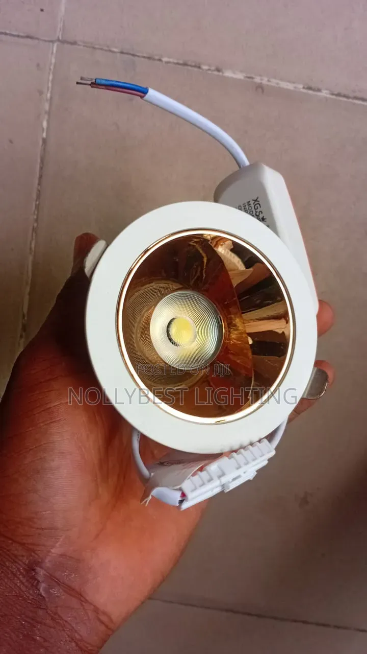 Pop Gold Light 2 Color
