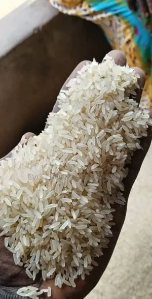 Abakaliki Rice