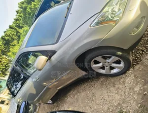 Lexus RX 350 2007 Silver