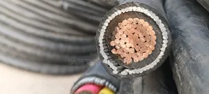 300mm Single Core Armored Cable