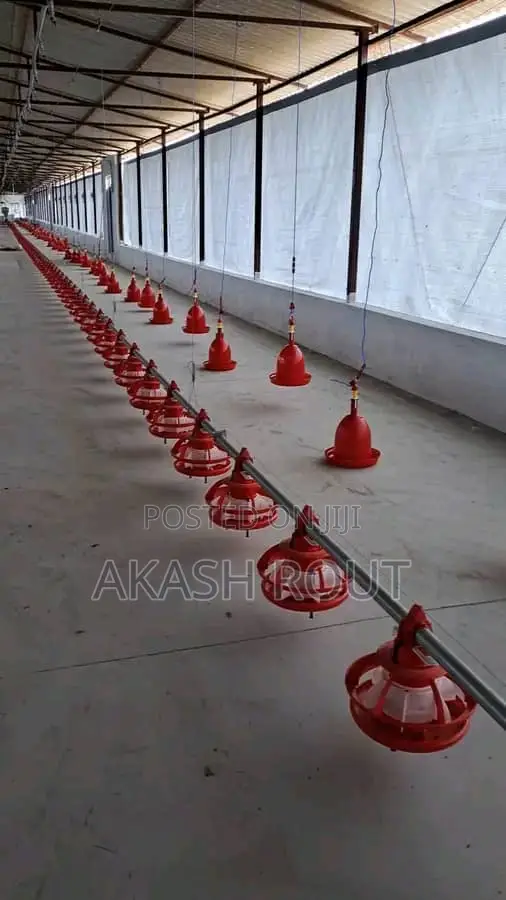 Poultry Liquid Feed Supplements