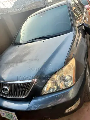 Lexus RX 300 4WD 2003 Gray