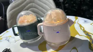 Magic Teapot Humidifier With Natural Salt Stones (Rechargeable)