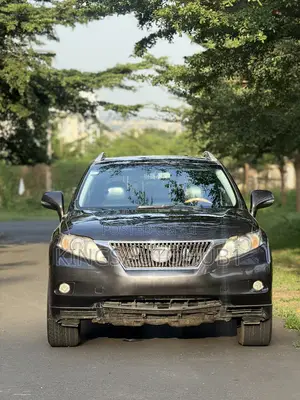 Lexus RX 350 2010 Gray