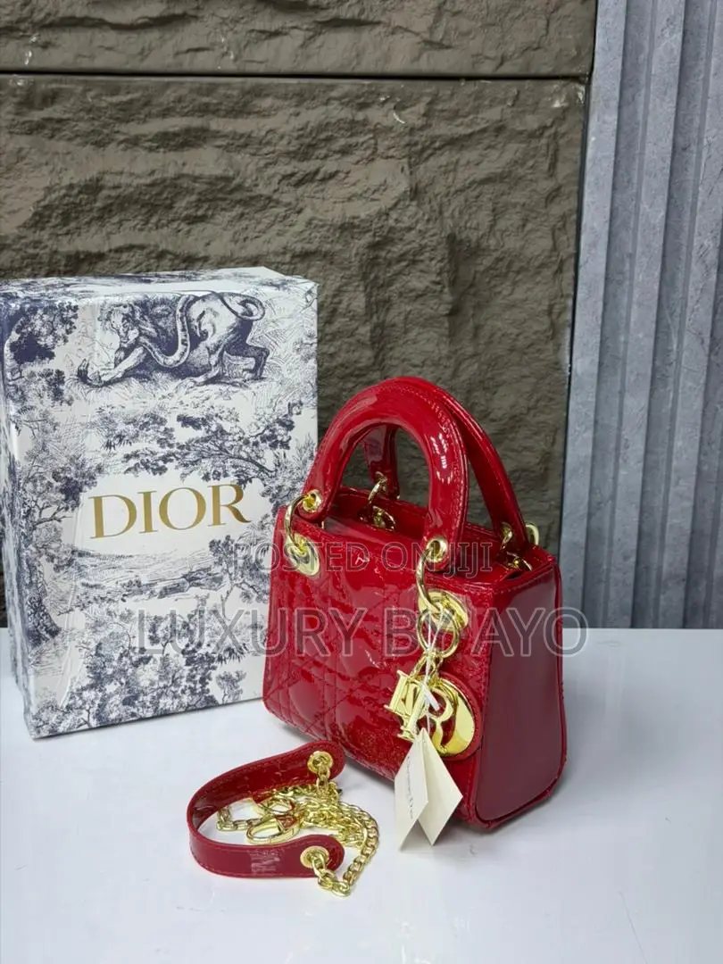 Christian Dior Handbag