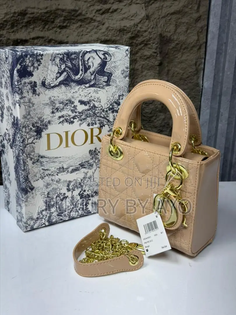 Christian Dior Handbag
