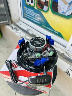 Original Ceiling Bluetooth Speakers