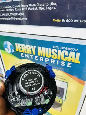 Dart 30w Stand Alone Ceiling Speakers With Woofer